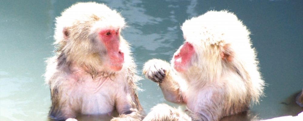 Manners When Entering An Onsen/Sento