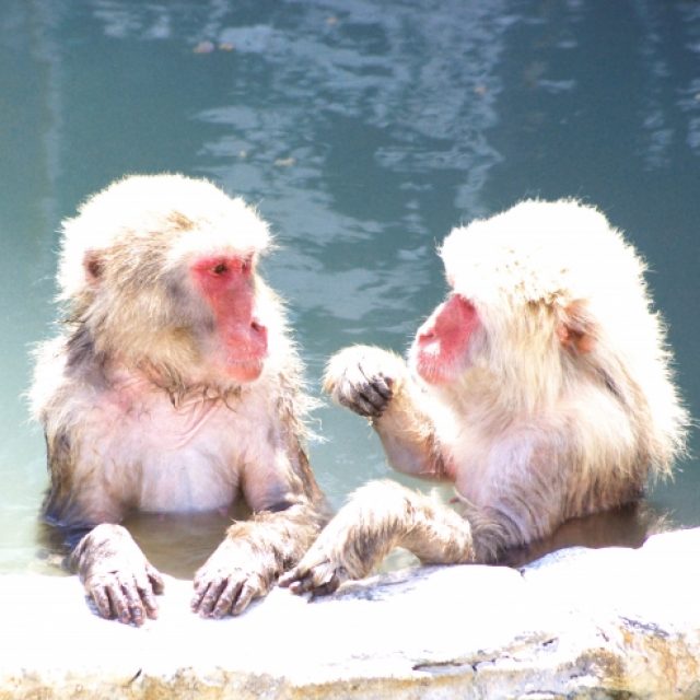 Manners When Entering An Onsen/Sento